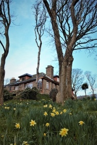 Langtoft with Daffodils